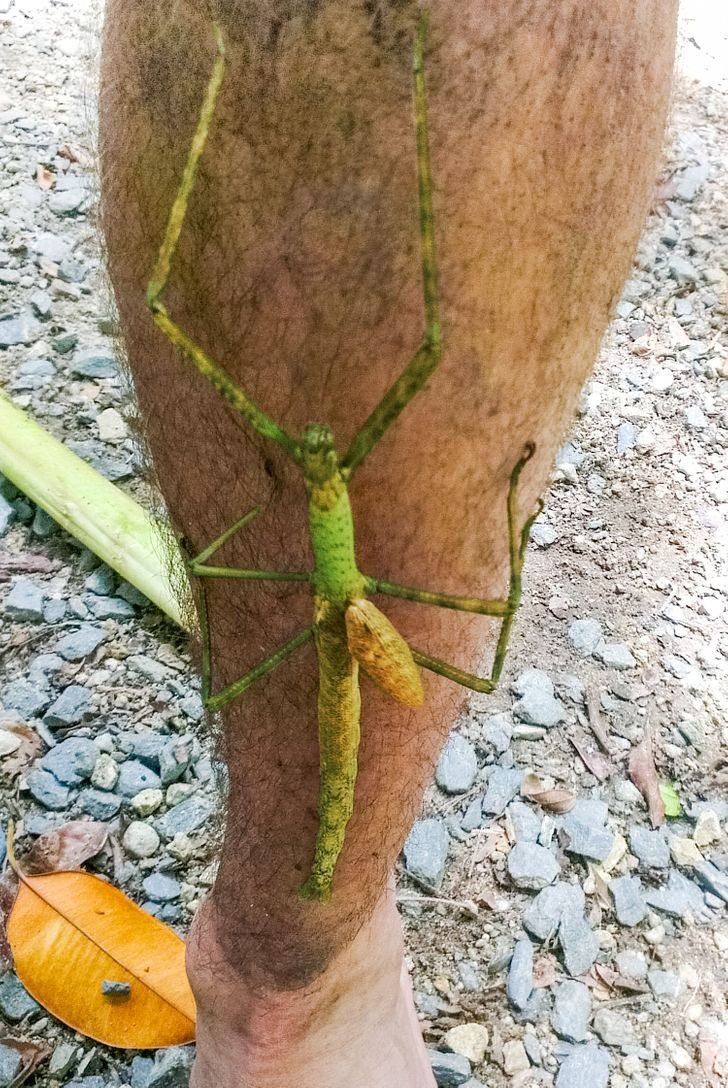 1651447781 226 23 fotos interessantes direto da Australia La a natureza pode