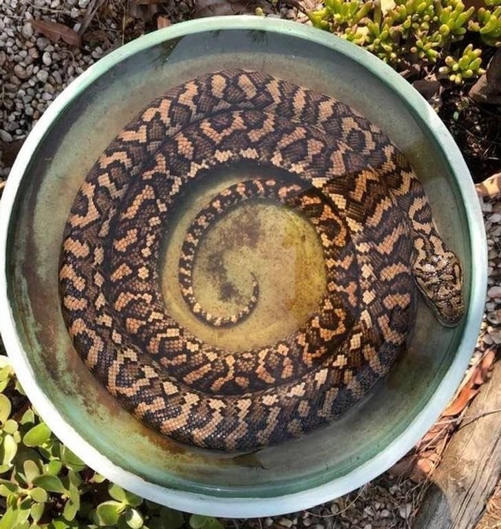 1651447783 477 23 fotos interessantes direto da Australia La a natureza pode