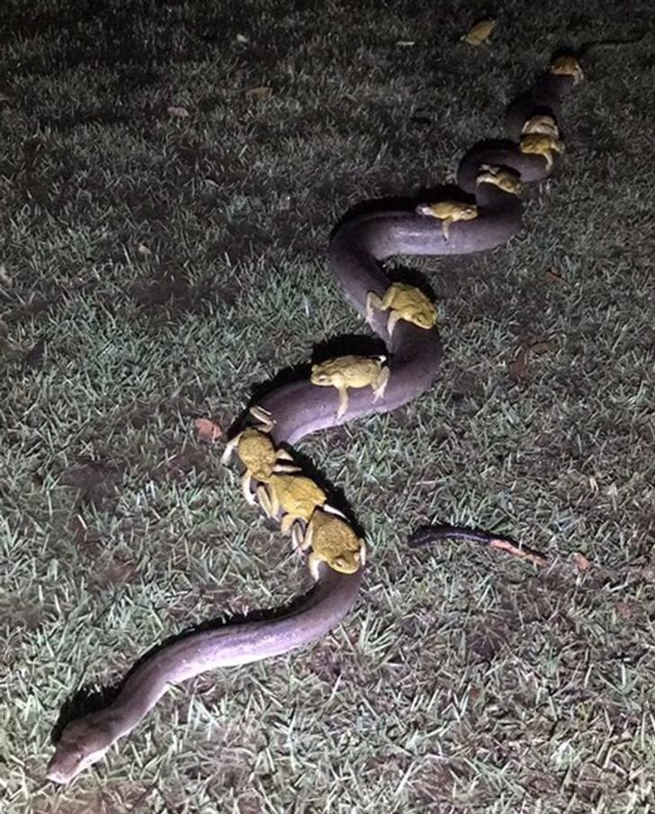 1651447786 374 23 fotos interessantes direto da Australia La a natureza pode