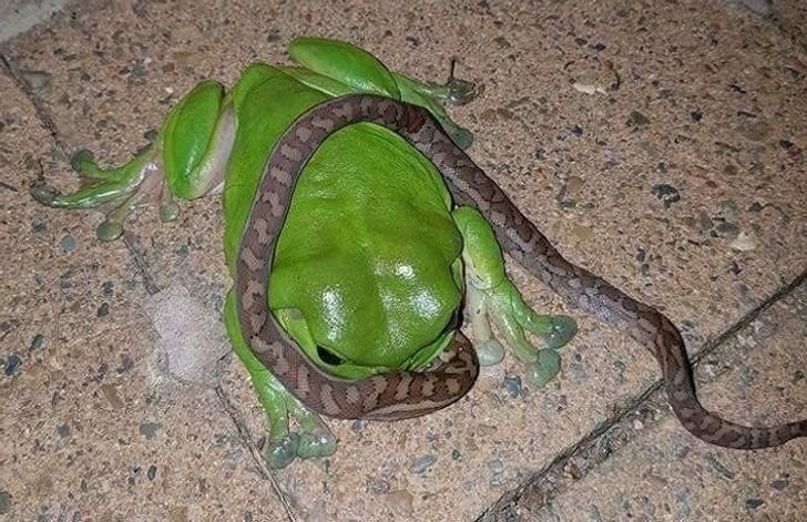 1651447790 286 23 fotos interessantes direto da Australia La a natureza pode