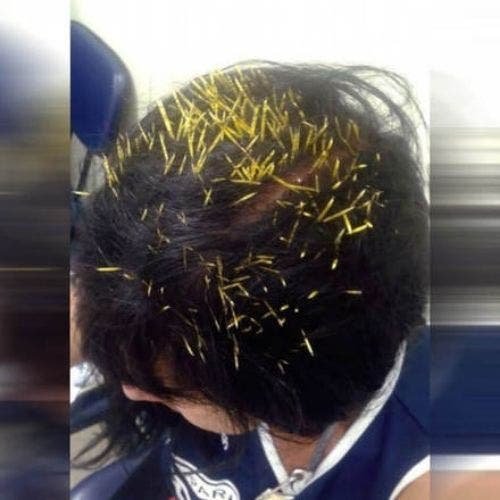 1610791872 434 Dia ruim Essas imagens provam que tem gente pior do