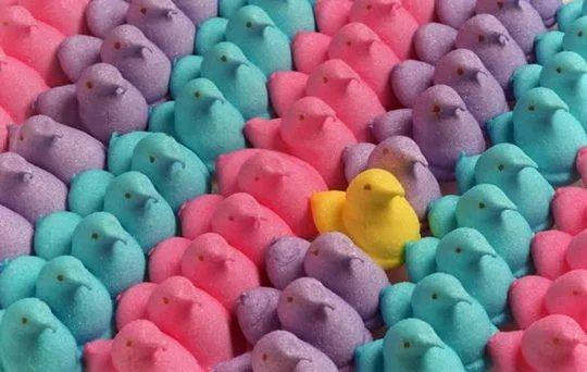 19 imagens proibidas para quem tem toc s