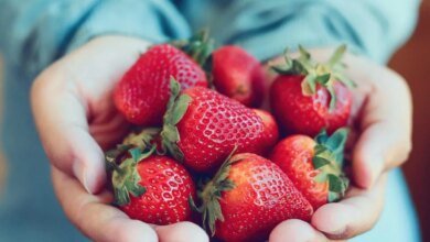 10 Benefícios do Morango para Saúde