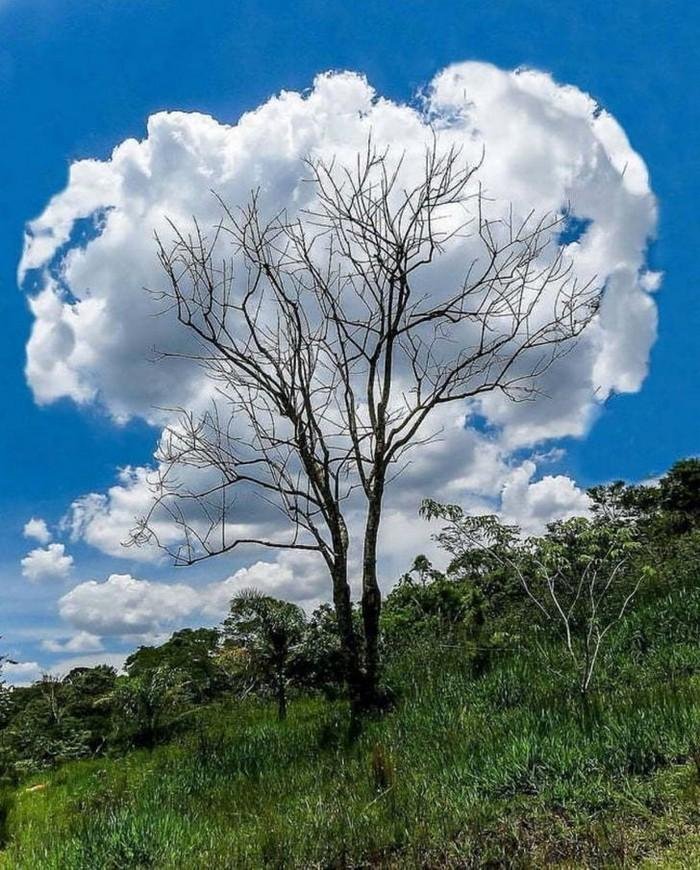 1640226650 789 22 Vezes em que os angulos das fotos fizeram pegadinhas