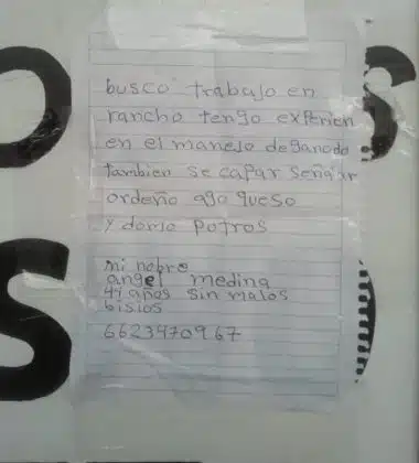 homem-distribui-curriculos-escritos-a-mao-pela-cidade-e-recebe-30-ofertas-de-emprego2-380x420.jpg Homem distribui curriculos escritos a mao pela cidade e recebe.we