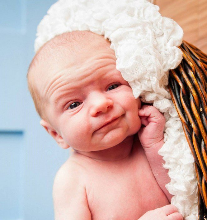 1648592212 908 14 bebes que parecem ter nascido proximos da aposentadoria