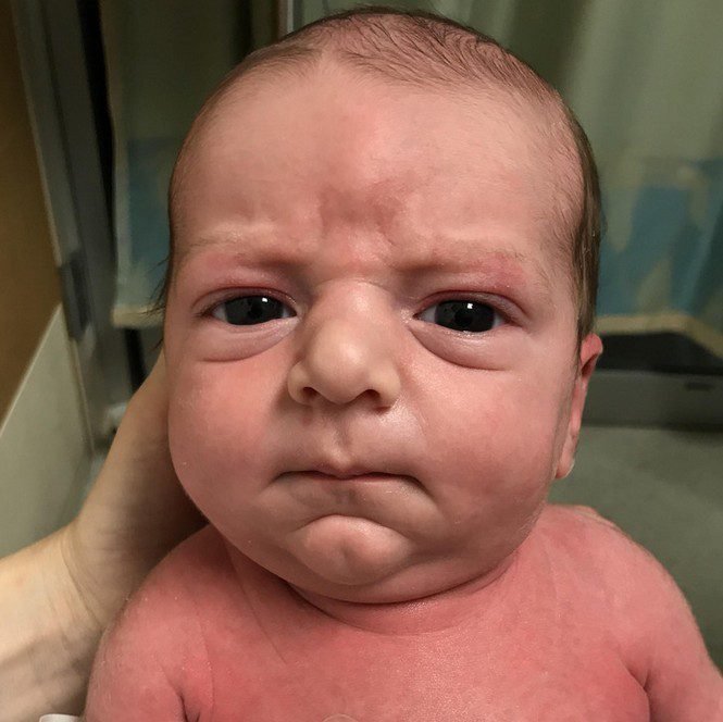 1648592217 80 14 bebes que parecem ter nascido proximos da aposentadoria