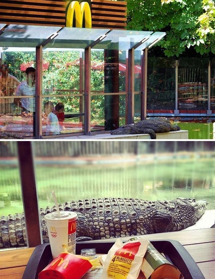 1611358563 824 Parte 2 20 Dos McDonalds mais diferentoes do mundo