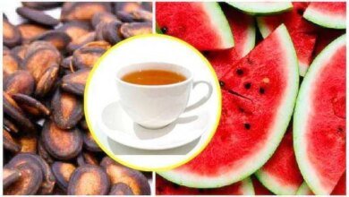 10 Motivos para tomar chá de semente de melancia