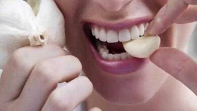 Alho é 100 vezes MAIS EFICAZ contra Bactérias do que Antibióticos comuns, garante pesquisa!
