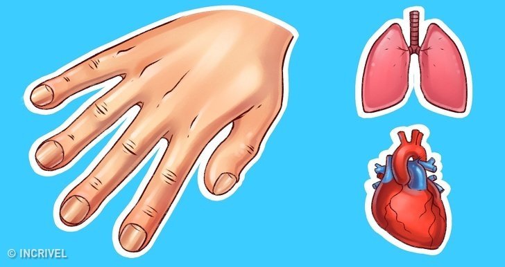 7Coisas que asmãos podem revelar sobre sua saúde