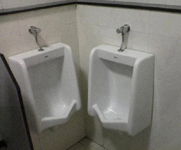 1493393260 815 11 vasos sanitarios mais bizarros que voce vera