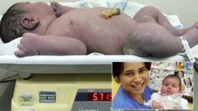 Bebezão de quase 6kg tem alta de hospital após 9 dias: ‘Muito contente’