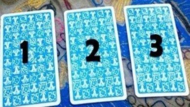 Escolha uma carta e veja o que o futuro lhe trará