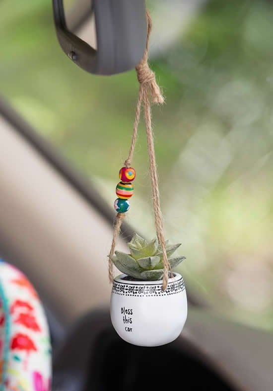 Enfeite para Carro com Mini Suculenta