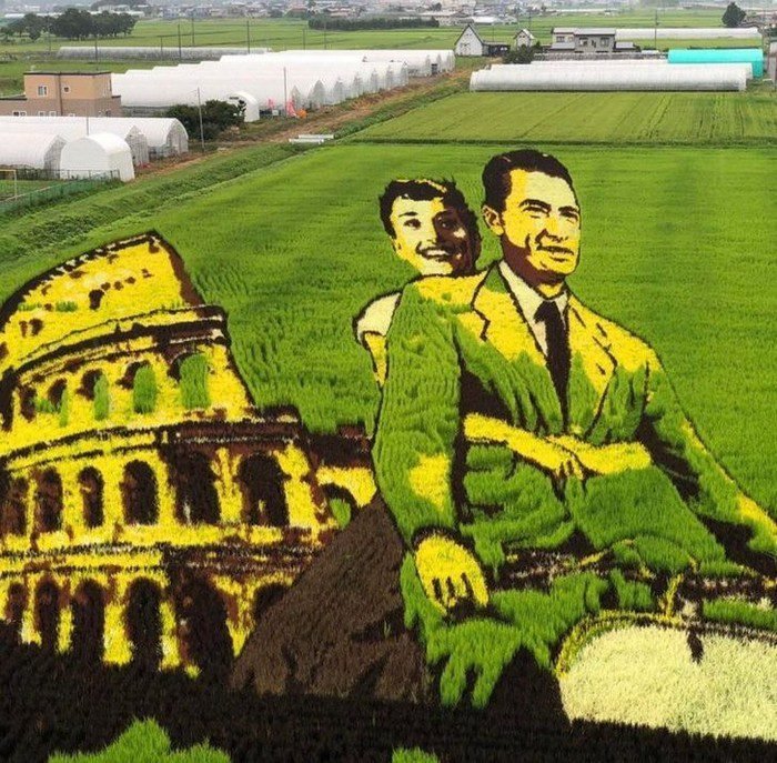 18 Coisas peculiares encontradas no Japao que mostram por que