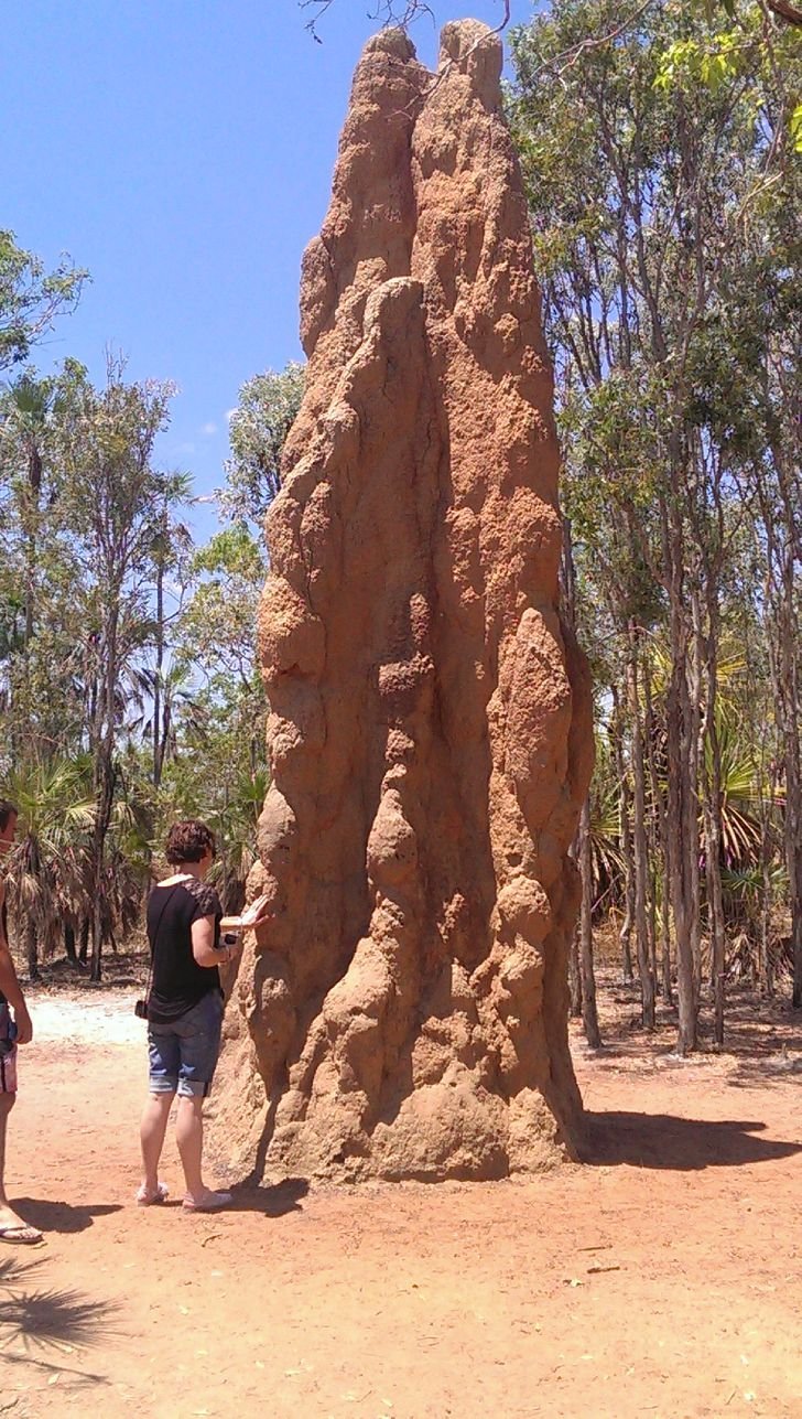 23 fotos interessantes direto da Australia La a natureza pode