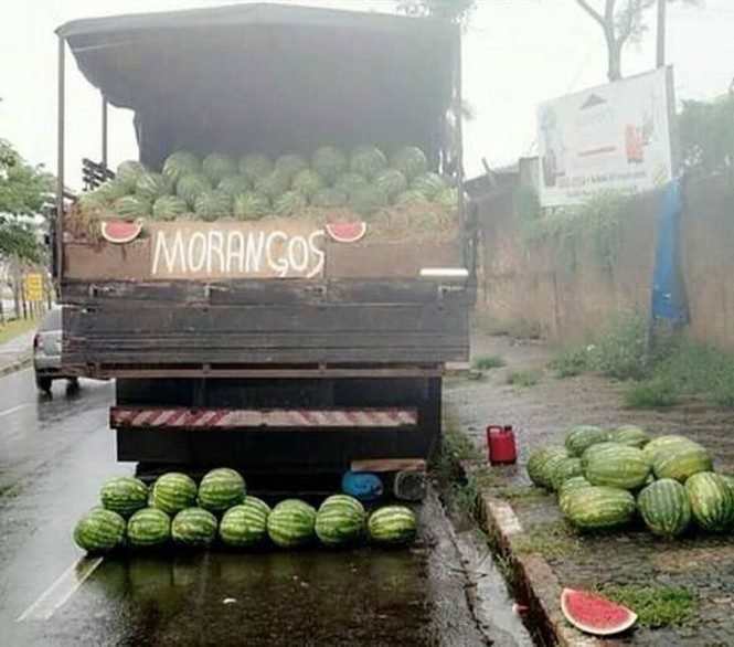 27 placas divertidas que vao confundir seu cerebro tentando entende las