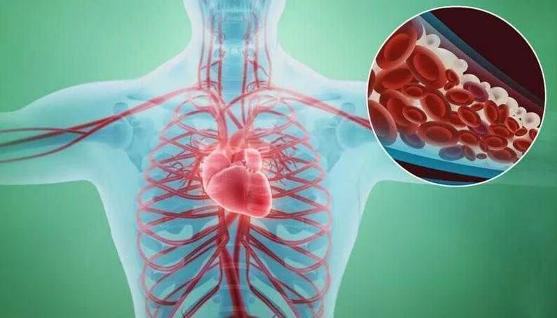 9 Sinais de que suas artérias estão entupidas