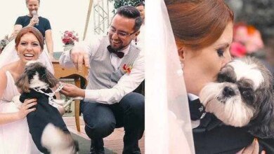 Cão rouba a cena em casamento e emociona convidados