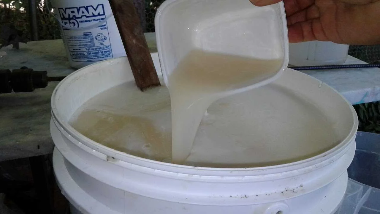 como fazer sabao liquido de coco e limao ideal para Como fazer sabão liquido de coco e limão. Ideal para lavar a roupa