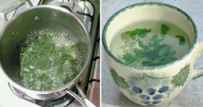 1550853004 896 PLANTA MILAGROSA PARA MULHERESEQUILIBRA OS HORMONIOS E EMAGRECE