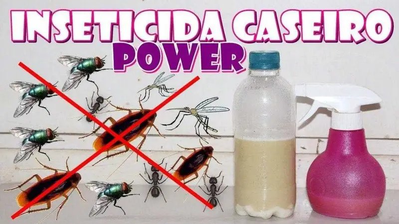 Receita caseira super forte para acabar com moscas, pernilongo, formigas e baratas